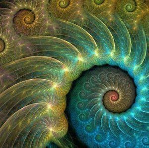 Meet your Posher, Shelley